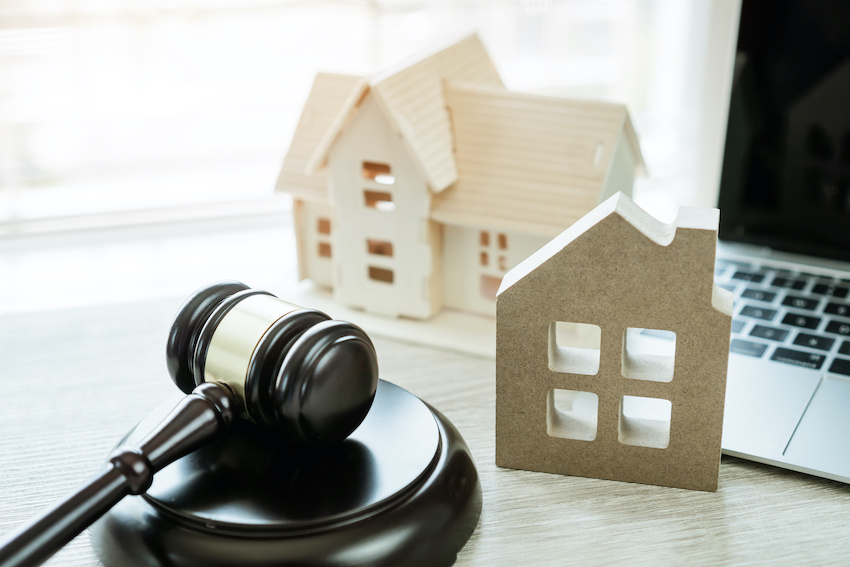 Photo : smolaw11, Adobe Stock