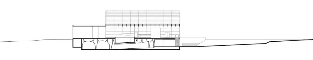 Métamorphose de l’Insectarium, Montréal, Kuehn Malvezzi / Pelletier De Fontenay / Jodoin Lamarre Pratte architectes en consortium